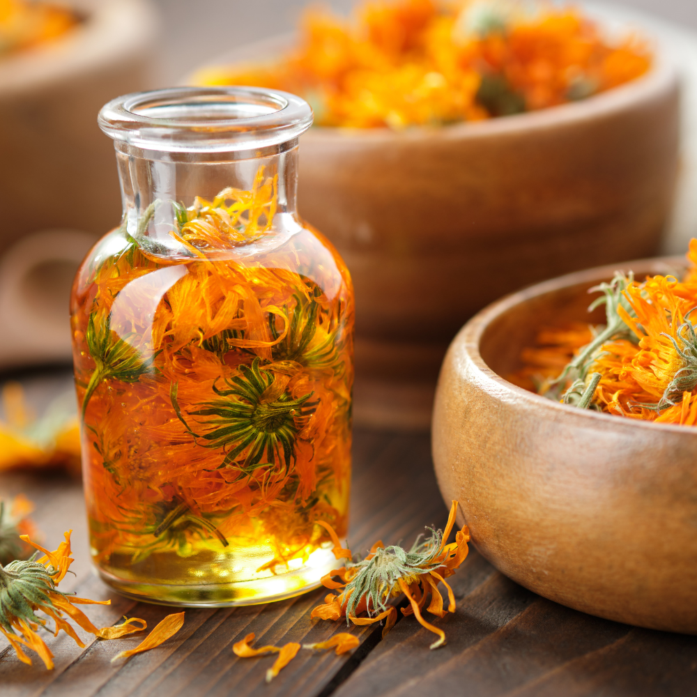 Herbal Oil Infusions